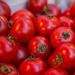 Как готовить помидоры в желе «Обалденные» на зиму Помидоры в желатине в банках